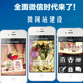 手机微站/APP